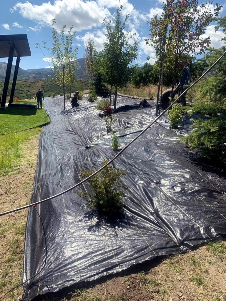Finished yard transformation at a Kamas property