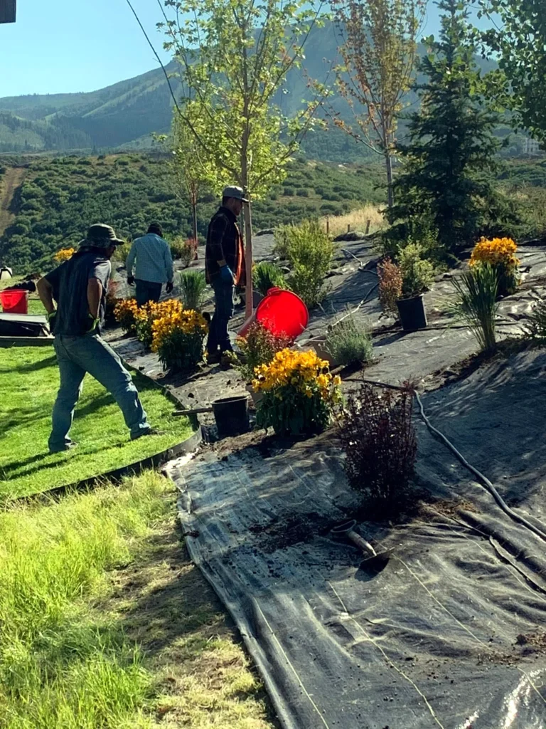 Residential landscaping work by Amigos Painting & Landscape in Park City