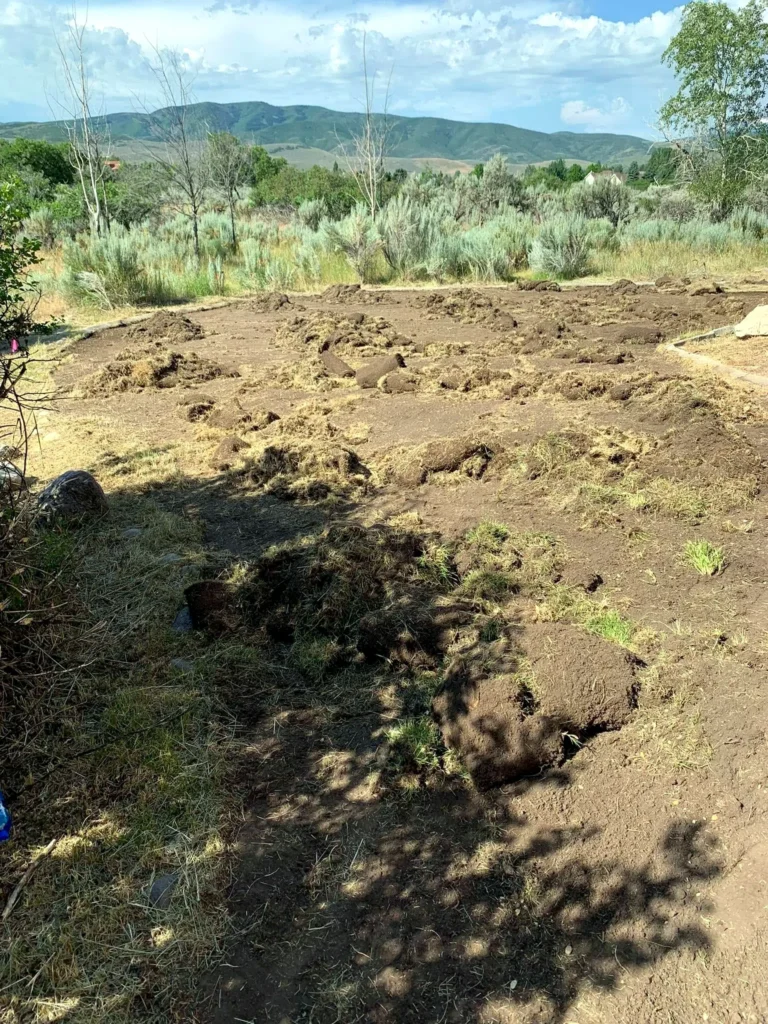 Residential landscaping work by Amigos Painting & Landscape in Park City