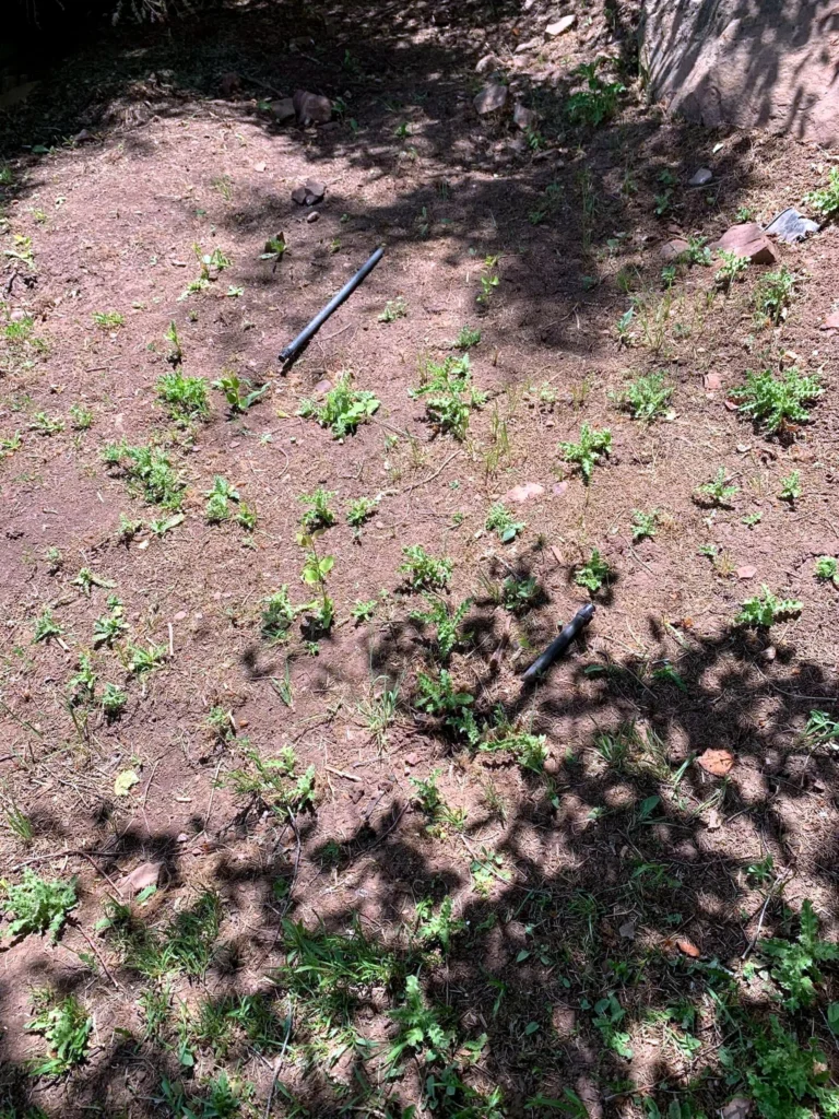 Finished yard transformation at a Kamas property