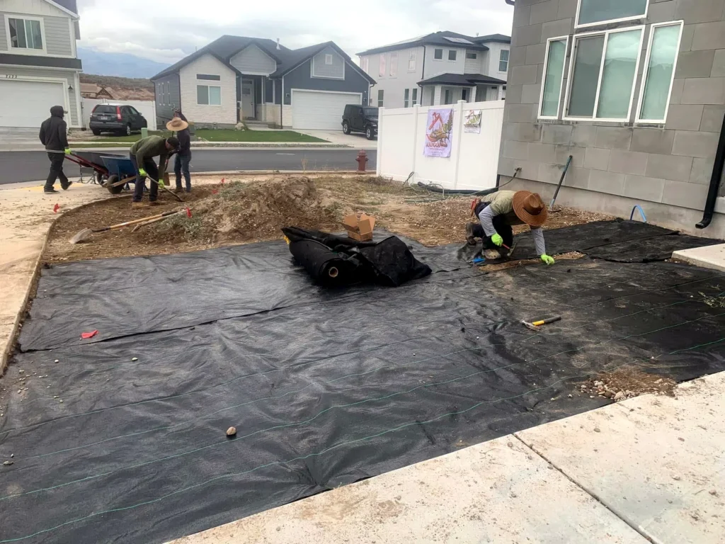 Crew rolling out weed barrier fabric across a prepped yard
