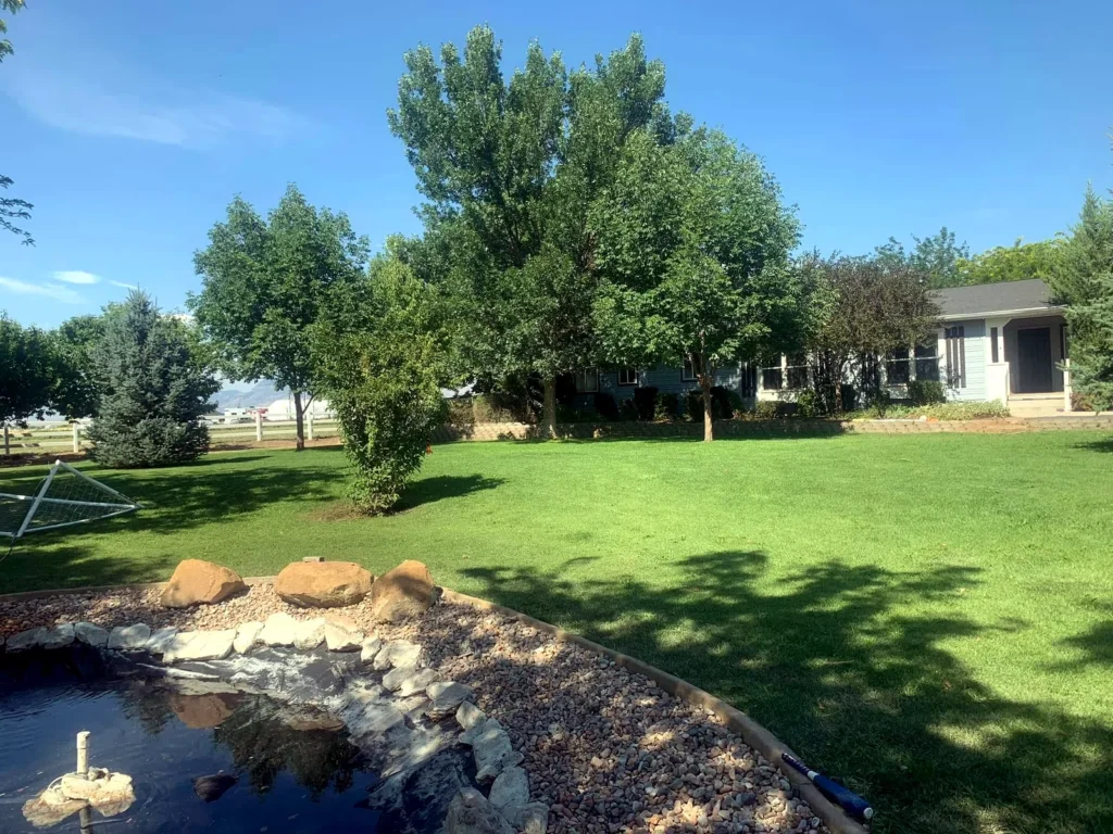 Backyard pond and water feature framed by mature lawn and trees