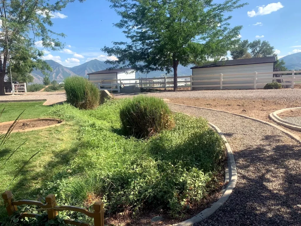 Curved planting beds and ornamental grasses against a mountain backdrop