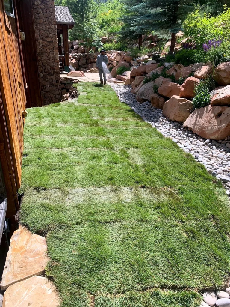New sod meeting a river-rock border along a finished walkway