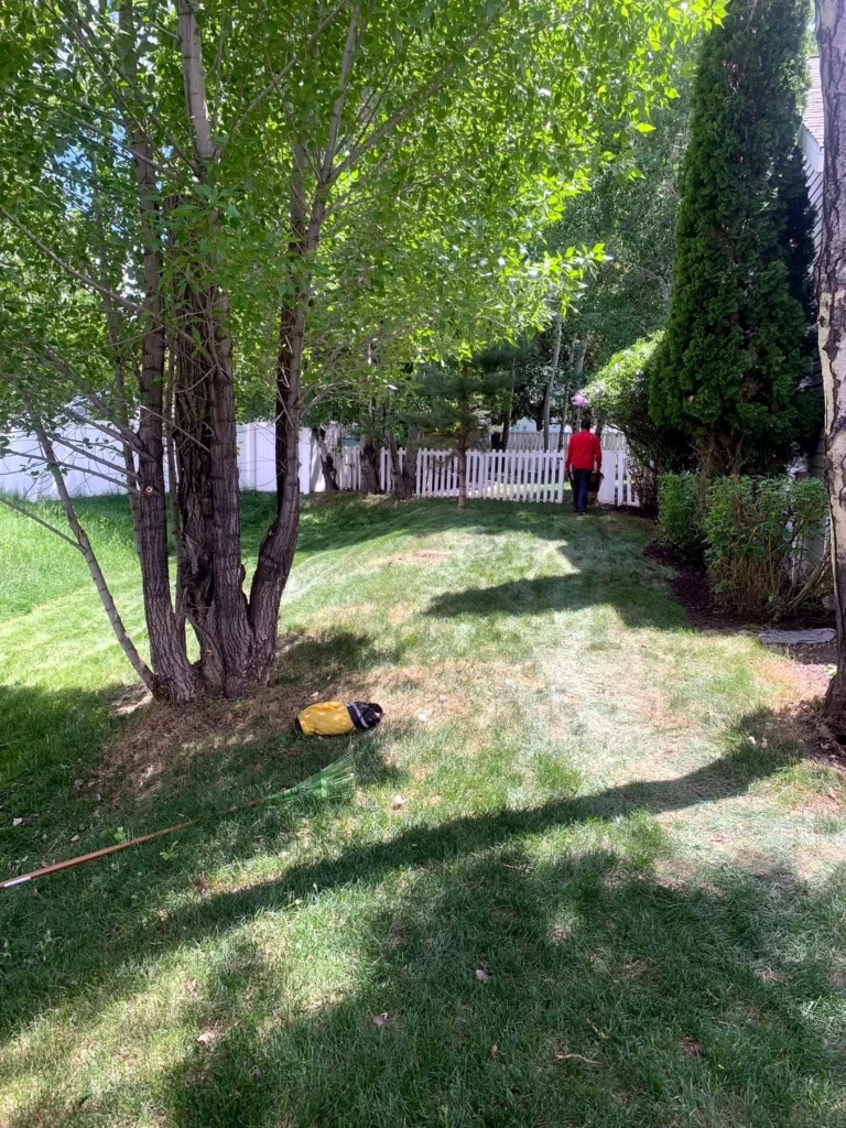 Finished yard transformation at a Kamas property