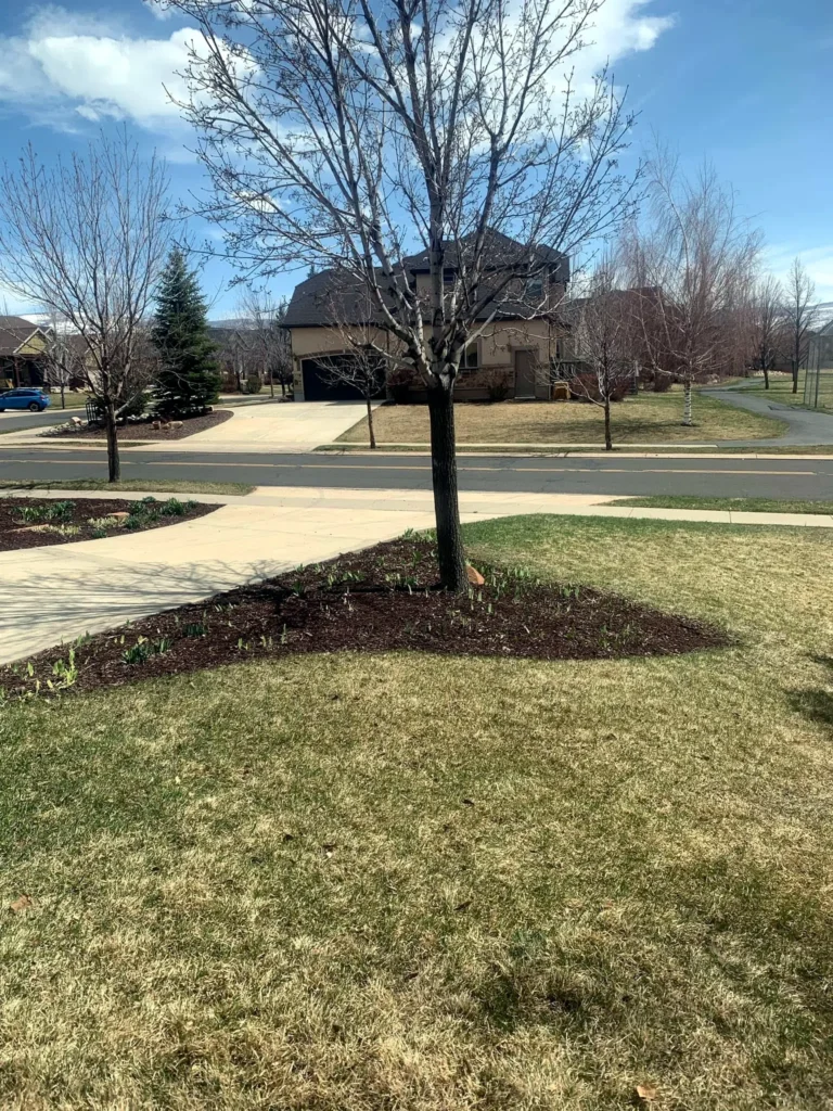 Completed landscaping project at a Heber City home
