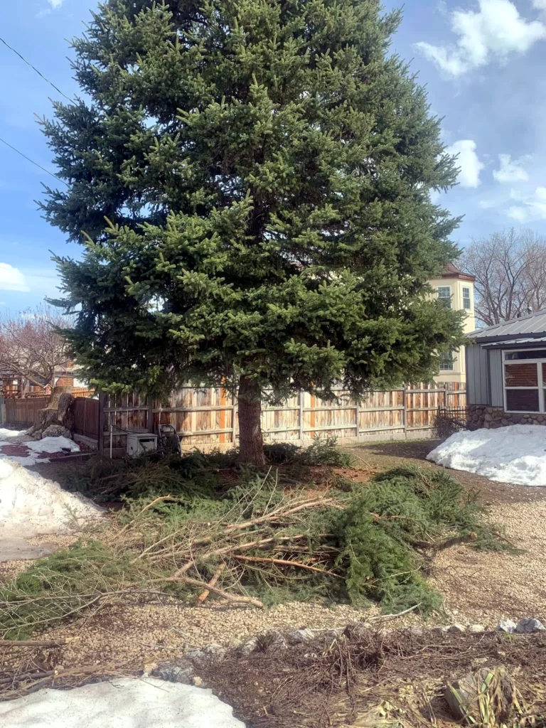 Landscape installation with new planting beds and lawn in Midway, Utah