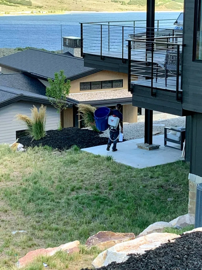 New sod installation at a residential property in Midway, Utah