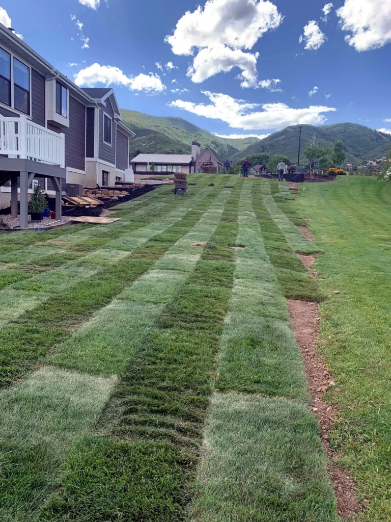 Healthy established lawn maintained by Amigos in Kamas
