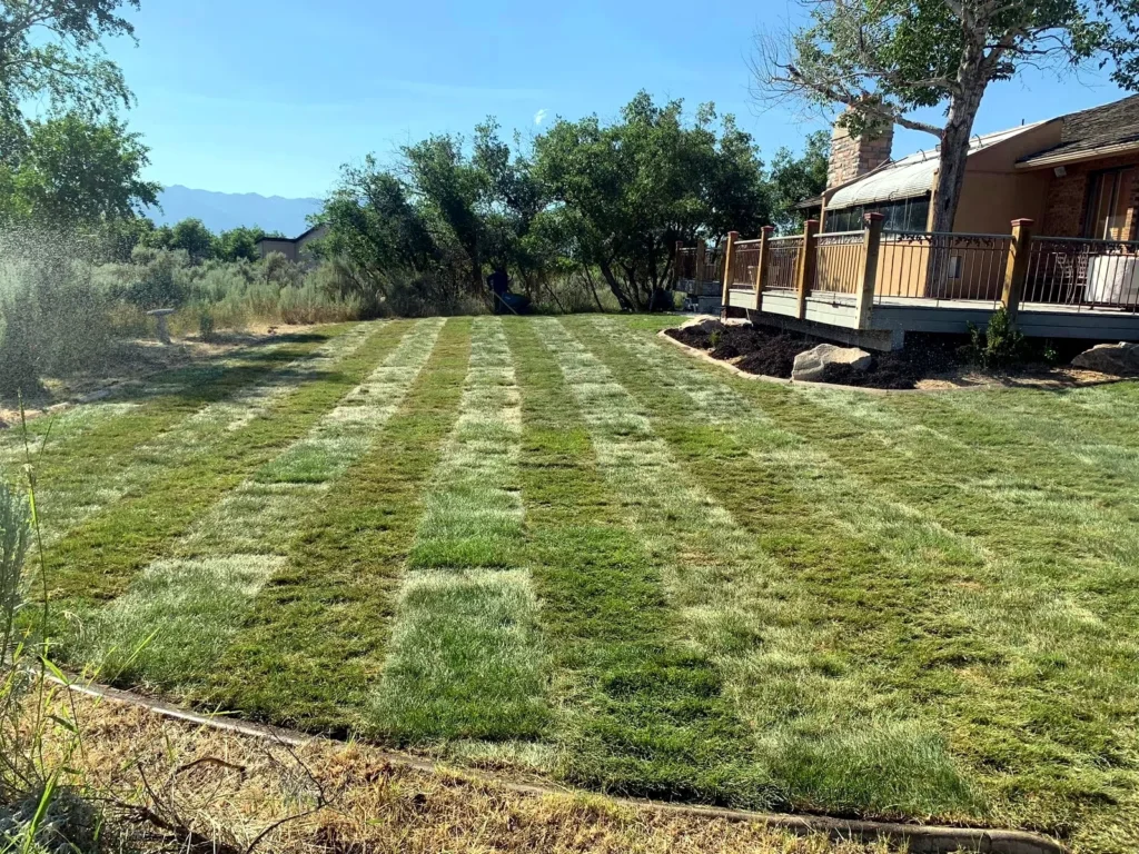 New sod installation at a residential property in Kamas, Utah