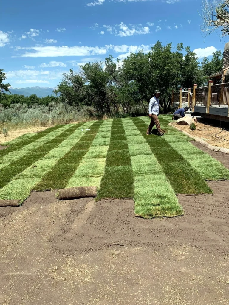 Lawn care and mowing service in Midway, Utah
