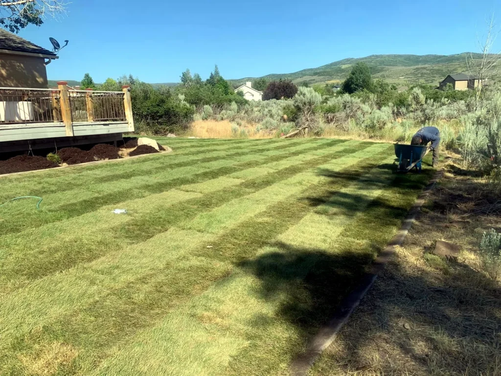 Lawn care and mowing service in Wasatch County, Utah