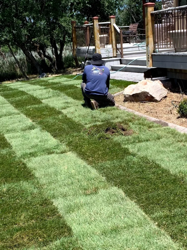 Healthy established lawn maintained by Amigos in Park City