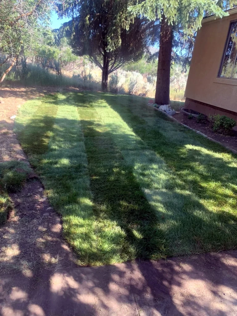 Freshly cut and striped lawn at a Kamas home