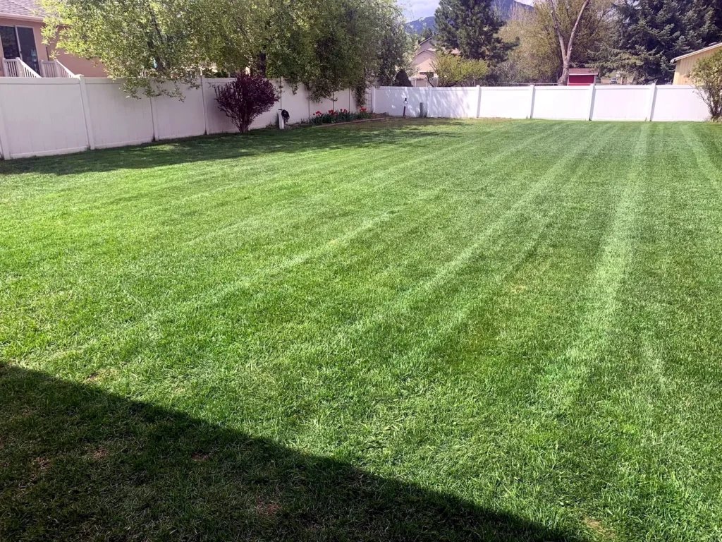 Healthy striped lawn after a professional mow in Heber City, Utah