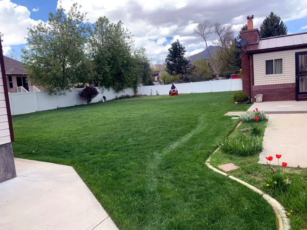 Healthy established lawn maintained by Amigos in Heber City