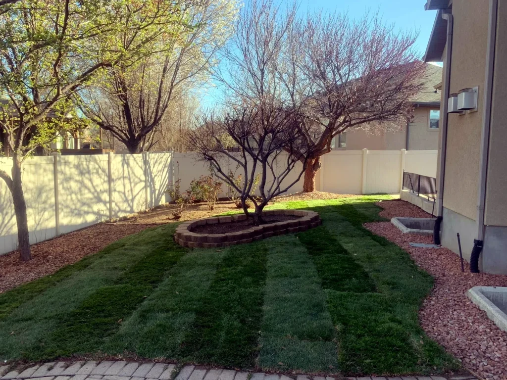 Freshly cut and striped lawn at a Midway home