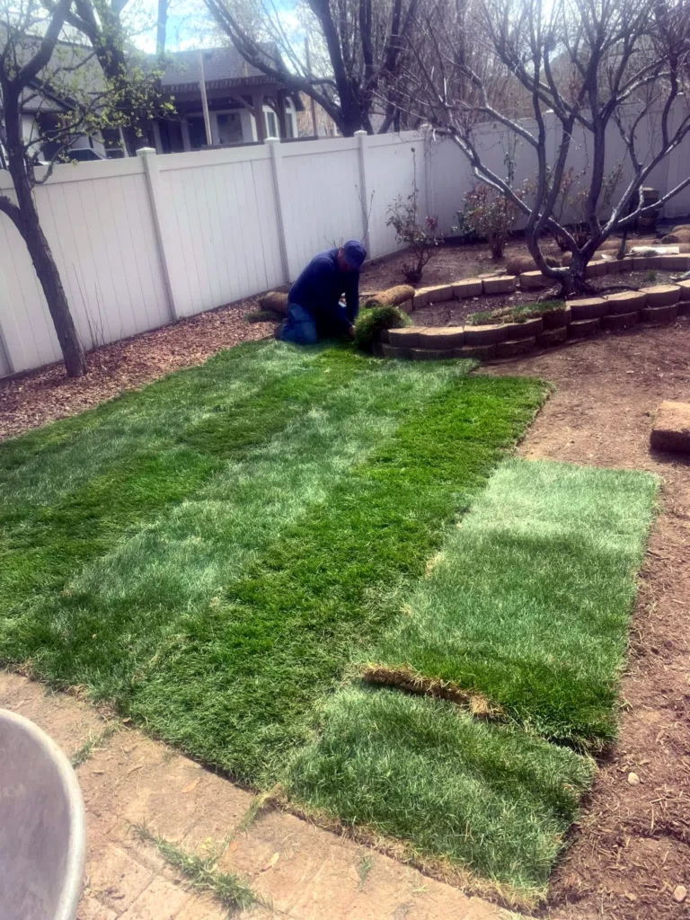 Healthy established lawn maintained by Amigos in Midway