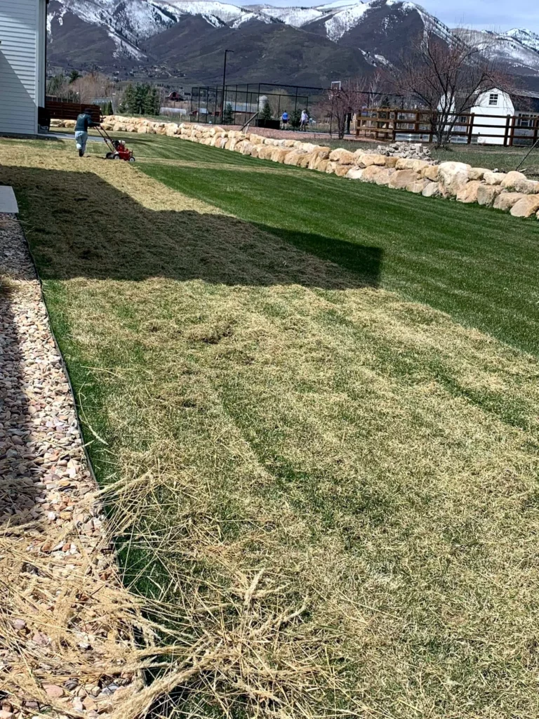 Wide open freshly cut lawn under an open sky